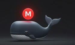 Featured image of post Automatically sync files to Mega.io with dockerized mega-cmd