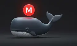 Featured image of post Automatically sync files to Mega.io with dockerized mega-cmd