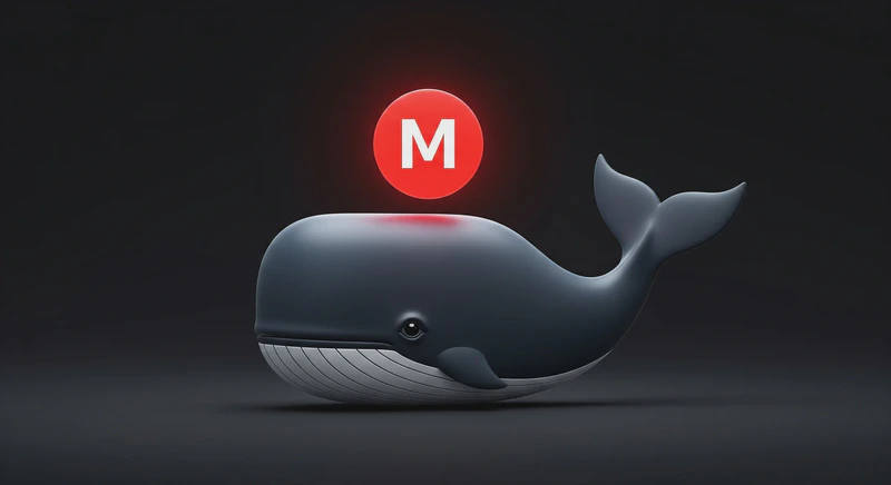 Featured image of post Automatically sync files to Mega.io with dockerized mega-cmd