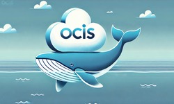 Featured image of post Setup Owncloud infinite scale with docker compose