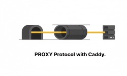 Featured image of post How to use the Proxy Protocol with Caddy (Get the Source IP from a TCP proxy)