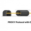 How to use the Proxy Protocol with Caddy (Get the Source IP from a TCP proxy)