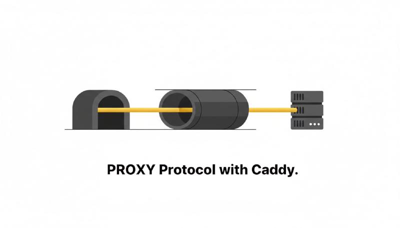 Featured image of post How to use the Proxy Protocol with Caddy (Get the Source IP from a TCP proxy)